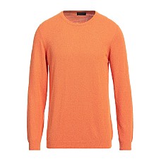 Светри ROBERTO COLLINA