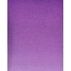 Светри DANIELE FIESOLI