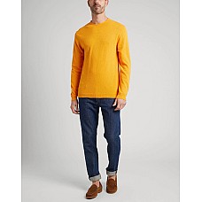 Светри DANIELE FIESOLI