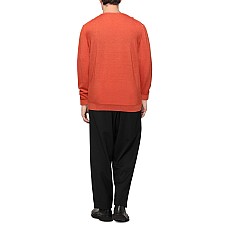 Светри DANIELE FIESOLI