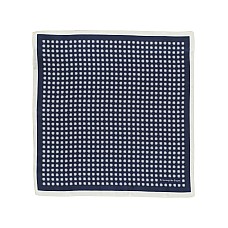 Шарфи та хустки ZEGNA