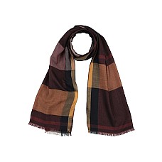 Шарфи та хустки FERRAGAMO