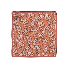 Шарфи та хустки ZEGNA