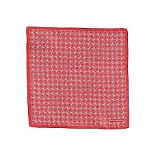 Шарфи та хустки ZEGNA