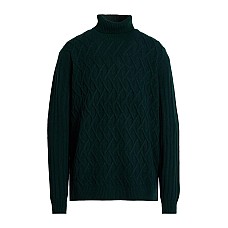 Водолазки FERRANTE