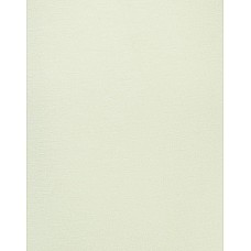 Натільна футболка DSQUARED2