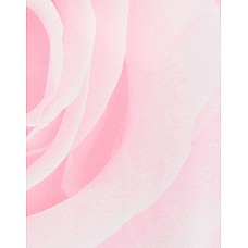 Короткие платья NO SECRETS