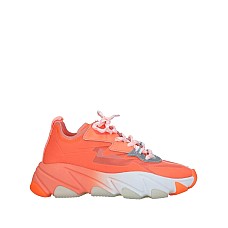 Спортивне взуття ASH