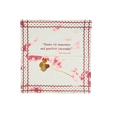 Шарфи та хустки MASSIMO ALBA