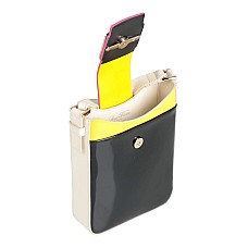 Сумки з довгими ручками ROGER VIVIER