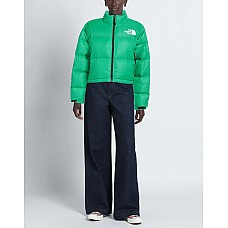 Пуховики THE NORTH FACE