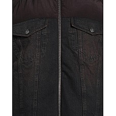 Пуховики DONDUP