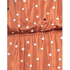 Шовкові сукні ALYSI